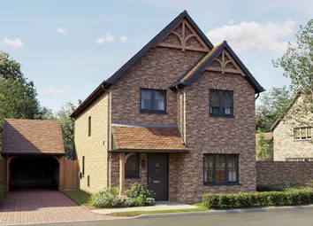 Hazel cgi