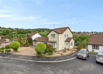 Thumbnail Detached house for sale in Valley Close, Teignmouth, Devon
