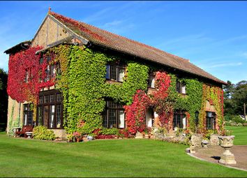 Thumbnail Detached house for sale in New Brancepeth, Durham