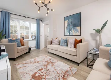 Showhome Photography