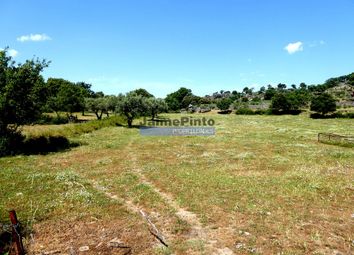 Thumbnail Land for sale in 26Ha Agricultural, Olive Grove, Ruins Near Douro River, Escalhão, Figueira De Castelo Rodrigo, Guarda, Central Portugal
