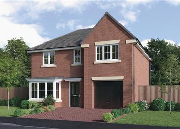 Thumbnail 4 bedroom detached house for sale in "The Maplewood" at Elm Avenue, Pelton, Chester Le Street