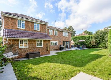 Thumbnail 5 bedroom detached house to rent in Dawnay Close, Ascot