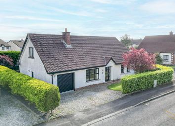 Thumbnail Detached bungalow for sale in Huntingdale Grange, Ballyclare