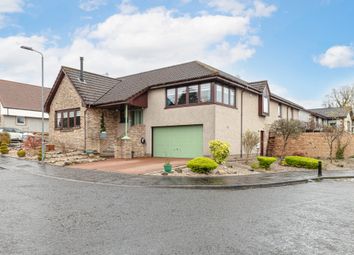 Thumbnail Detached bungalow for sale in Arns Grove, Alloa