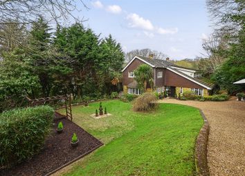 Thumbnail Detached house for sale in St. Helens Park Road, Hastings