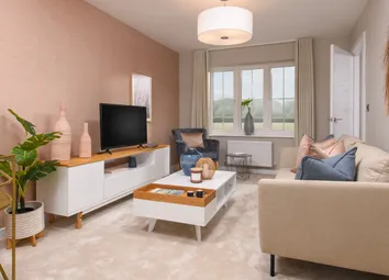 Showhome Photography