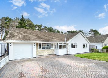 Thumbnail Bungalow for sale in Hazel Drive, Ferndown