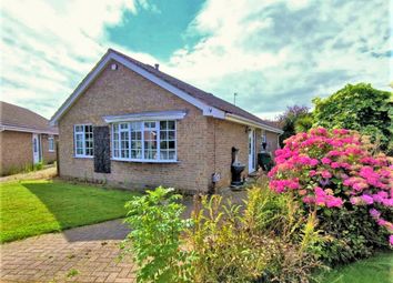 Thumbnail 3 bed detached bungalow to rent in Wauldby View, Swanland, North Ferriby
