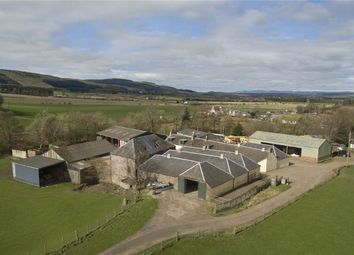 Property For Sale In Aberargie Buy Properties In Aberargie Zoopla