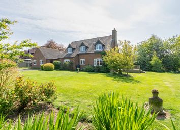 Thumbnail Detached house for sale in Calthorpe Street, Ingham, Norwich