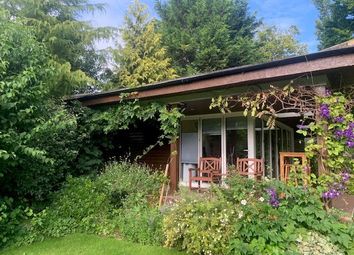 Thumbnail Bungalow to rent in Longdown Lane North, Epsom, Surrey