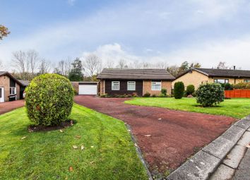 Thumbnail 3 bed bungalow for sale in The Chase, West Moor