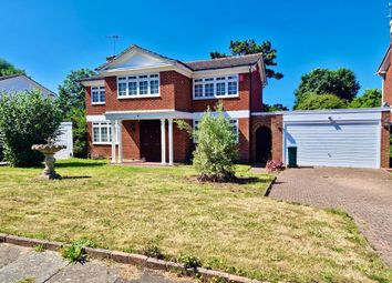 Thumbnail Detached house to rent in Chalfont Drive, Hove