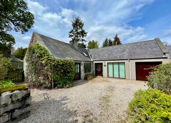 Thumbnail Bungalow for sale in Little Steading, West Church, Alford
