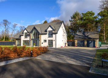 Thumbnail Detached house for sale in Beechfields, Woodlands Road, Blairgowrie, Perthshire