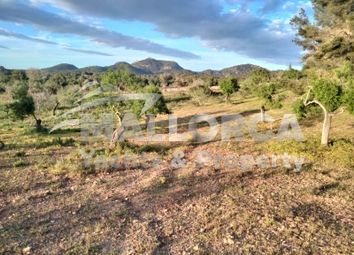 Thumbnail Land for sale in Felanitx - Southeast Mallorca, Felanitx, Majorca, Balearic Islands, Spain