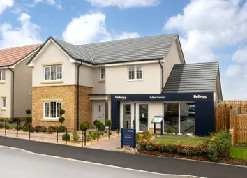 Showhome Photography