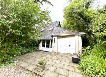 Thumbnail Property to rent in Shute, Axminster