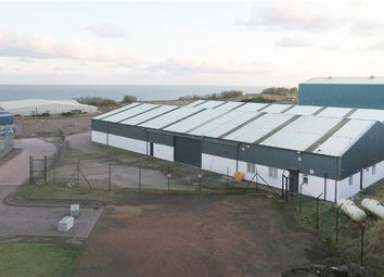 Thumbnail Industrial for sale in No 1, Minto Drive, Altens Industrial Estate, Aberdeen
