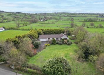 Ballyclare - Detached bungalow for sale           ...