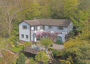 Thumbnail Detached house for sale in Rhyd-Y-Foel, Conwy