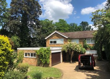 New Front Shot Rent.