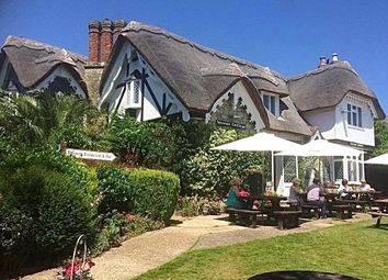Thumbnail Cottage for sale in Eastcliff Road, Shanklin, Isle Of Wight