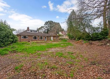 Thumbnail 3 bedroom bungalow for sale in The Paddock, Haslemere