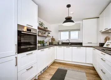 cgi - Apartment - Kitchen