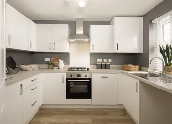 Internal Image Of The Ashdown Kitchen