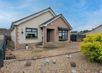 Thumbnail Detached house for sale in Cambusnethan Street, Wishaw