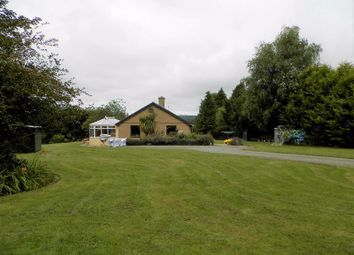Thumbnail Detached bungalow for sale in Llangeler, Llandysul