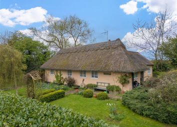Thumbnail Cottage for sale in High Laver, Ongar