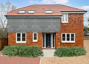 Thumbnail Detached house for sale in Cooks Lane, Calmore, Southampton