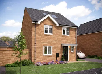 East Anglia_Millstone Park_Mylne Plot 9_Web
