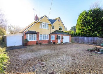 Arborfield, Reading RG2, south east england property