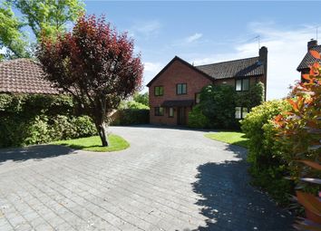 Thumbnail Detached house for sale in Salisbury Road, Sherfield English, Romsey, Hampshire