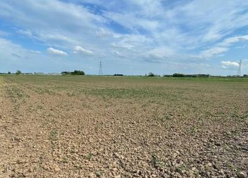 Thumbnail Land for sale in Mole Drove, Spalding
