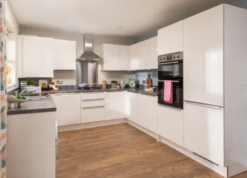 Showhome Photography