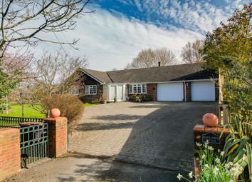 Thumbnail Detached bungalow for sale in Winchester Road, Shedfield