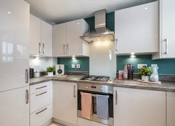 Kitchen With Green Feature Walls And Shiny White Cupboards