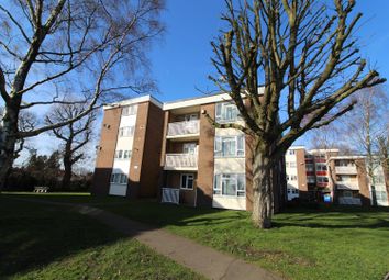 1 Bedroom  for rent
