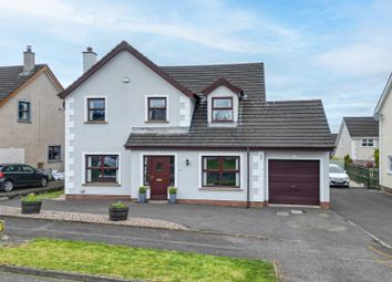 Thumbnail Detached house for sale in Hamlet Walk, Ballyclare