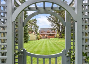 Thumbnail Detached house for sale in New Road, Lovedean, Waterlooville, Hampshire