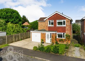 Thumbnail Detached house for sale in Gowing Road, Mulbarton, Norwich