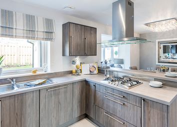 Braemar Show Home Thumbnail 4 bedroom detached house for sale in Schoolfield Road, Rattray
