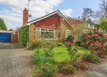 Thumbnail Bungalow for sale in Chestnut Way, Godalming