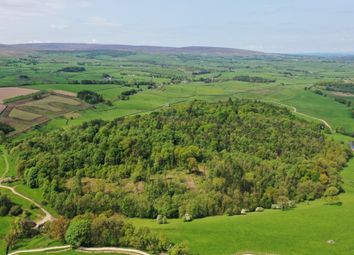 Thumbnail Land for sale in Lawkland, Austwick, North Yorkshire