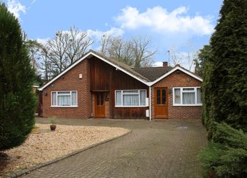 5 Bedroom Bungalow for rent